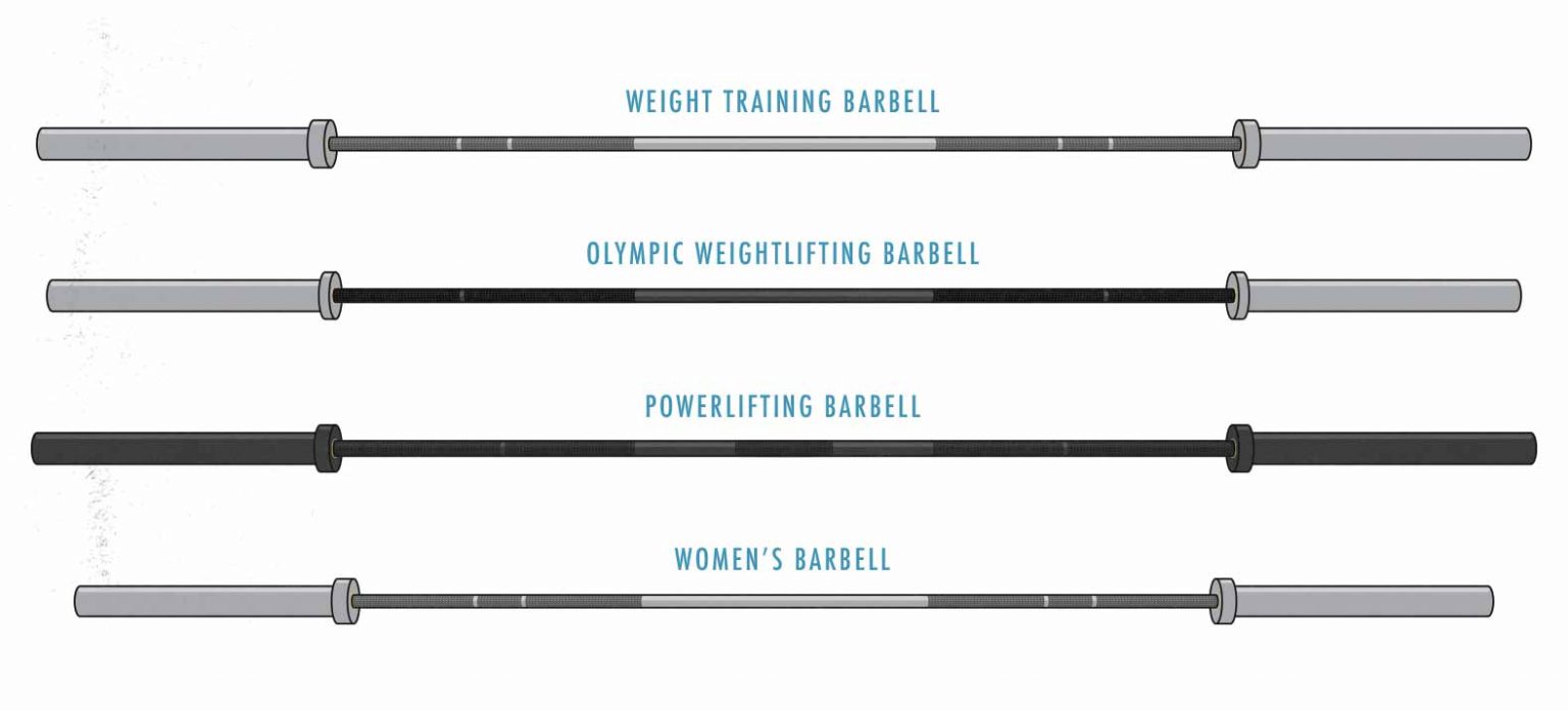 The Barbell Buyer's Guide (for Bodybuilding & Hypertrophy Training)