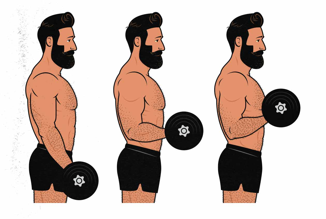 Ilustración de un hombre haciendo curls de bíceps.
