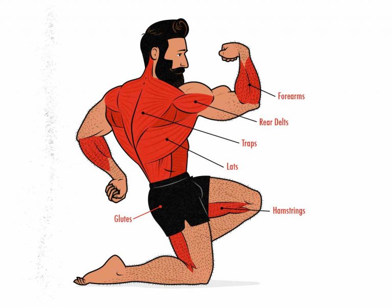 ChinUps vs Barbell Rows for Back and Biceps Growth