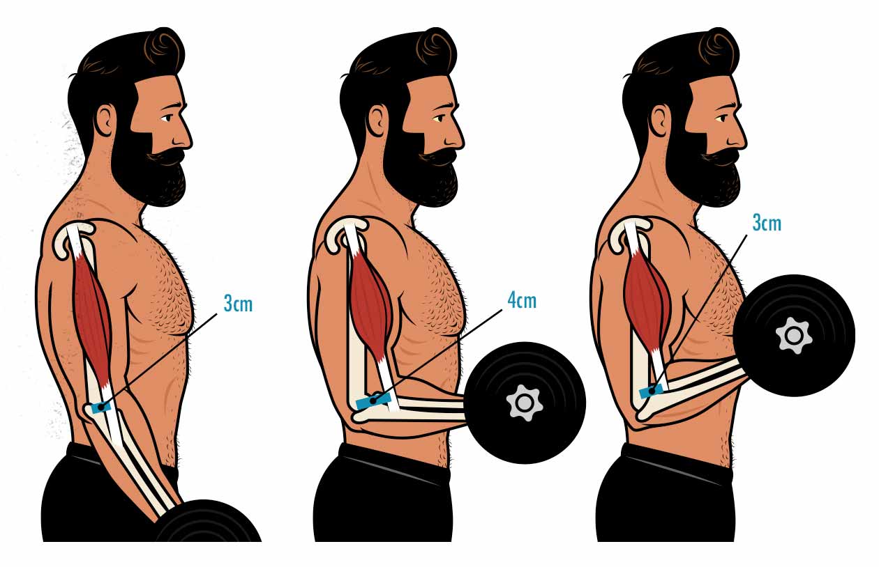 MinMaxing Strength Curves for Hypertrophy