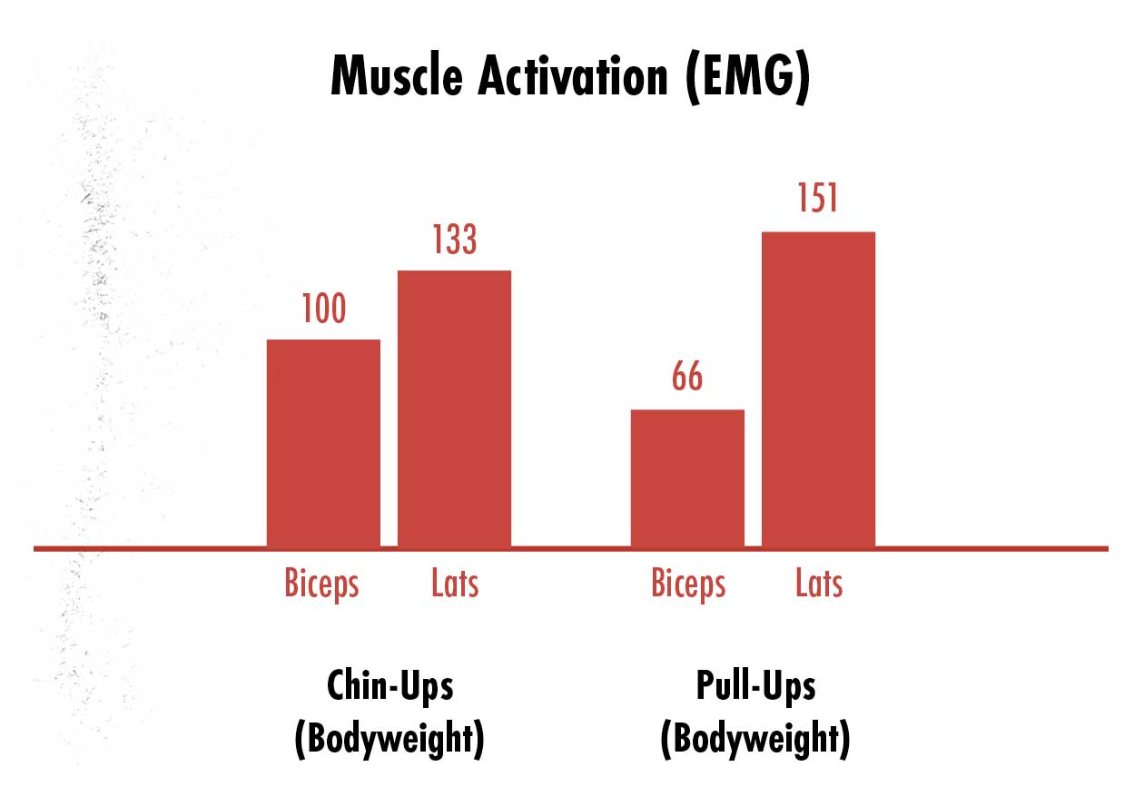 Graph showing the differences in muscle activation between chin-ups vs pull-ups, with chin-ups working the biceps harder and pull-ups working the lats harder.