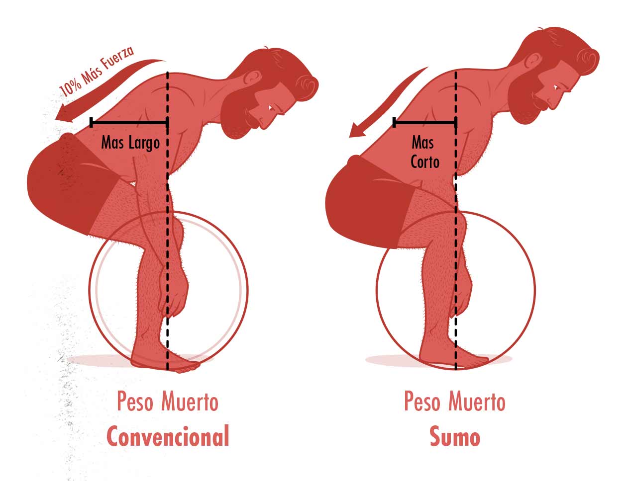 Ilustración de la diferencia en el brazo de momento en un peso muerto convencional y un peso muerto sumo.