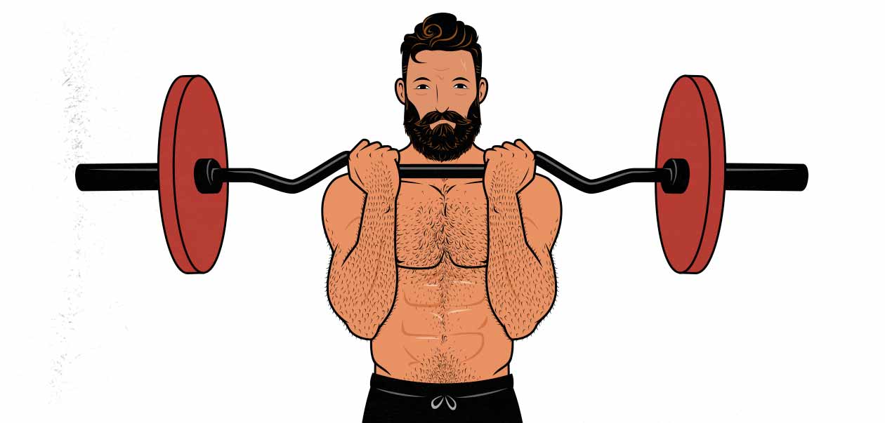 Illustration of a man doing a barbell curl with a curl-bar/EZ-bar