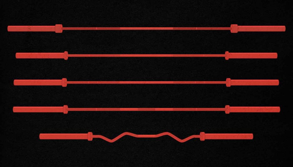 Illustration of the different types of barbells.