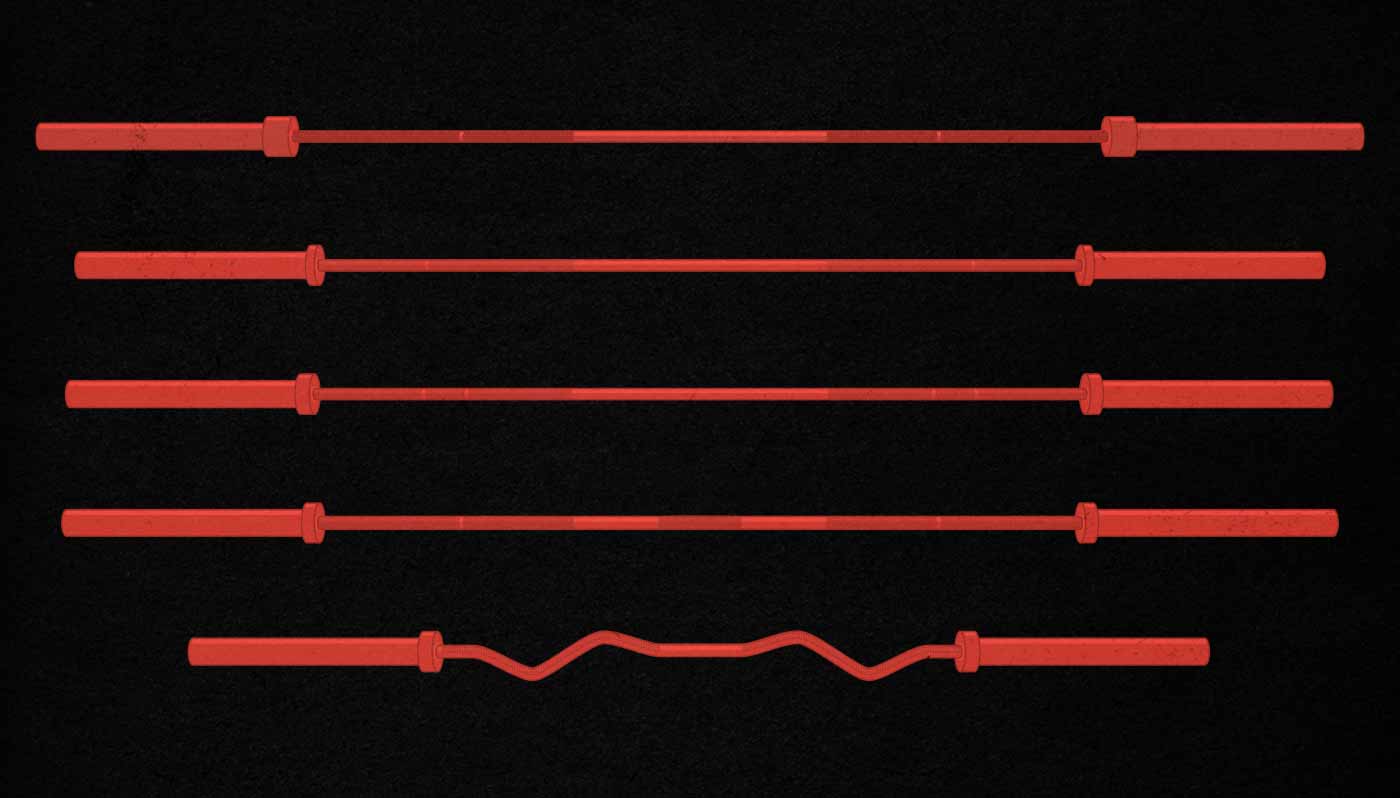 Illustration of the different types of barbells.