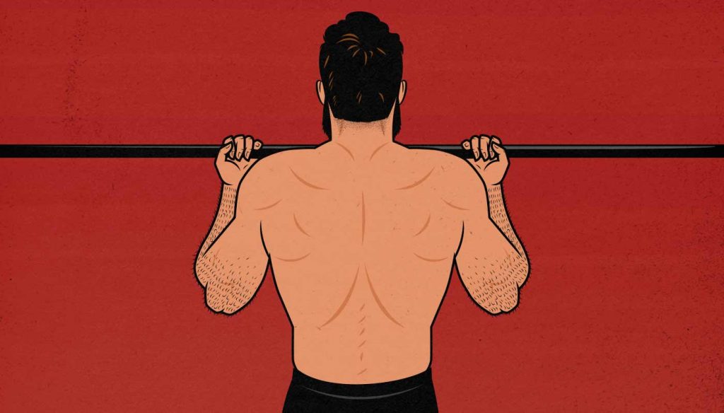 The Chin Up Hypertrophy Guide Outlift