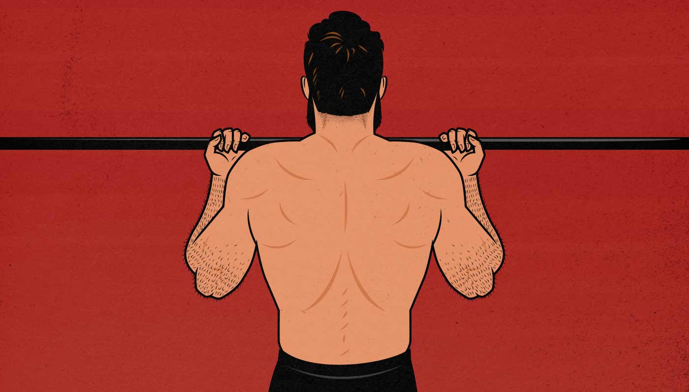 Illustration of a man doing chin-ups (back view)
