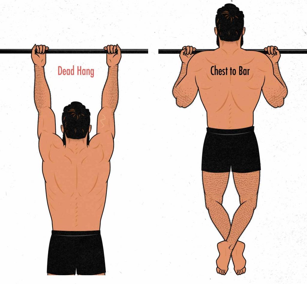Illustration of chin-ups done with a full range of motion: from a dead hang and bringing chest to bar.