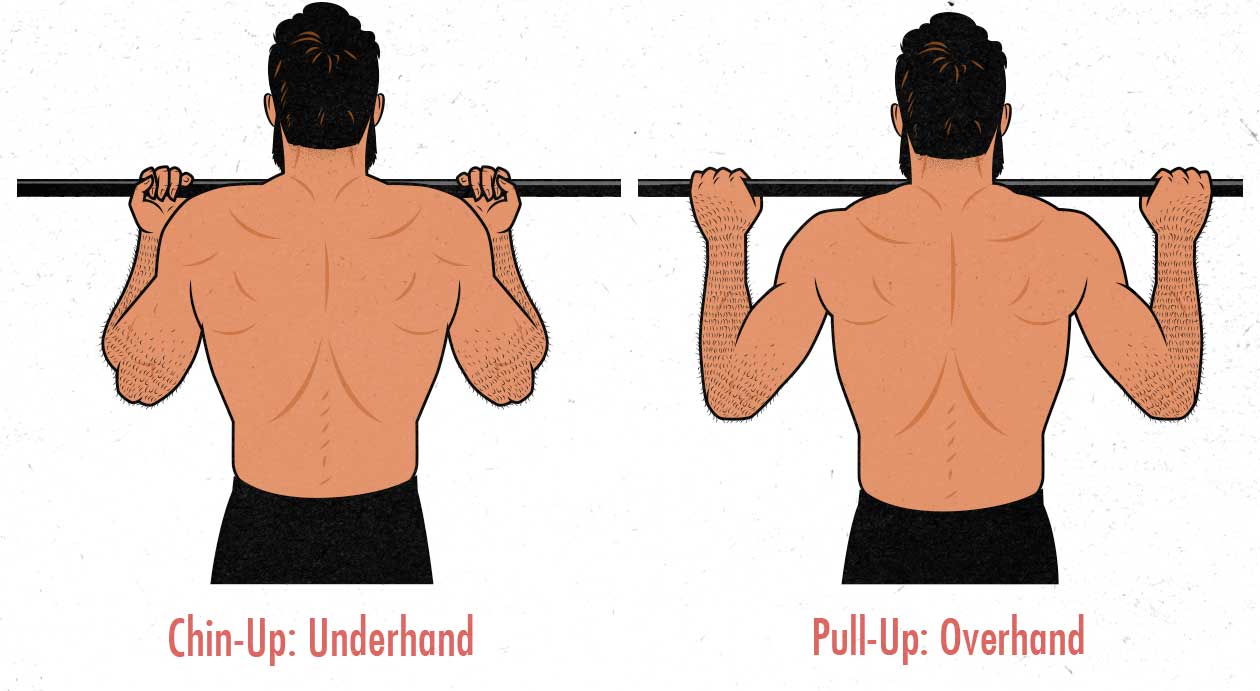 Illustration of the difference between chin-ups and pull-ups