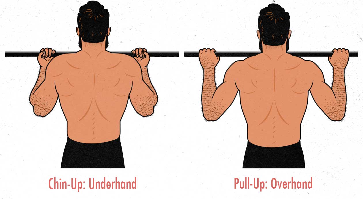 Chin Ups Versus Pull Ups Difference 