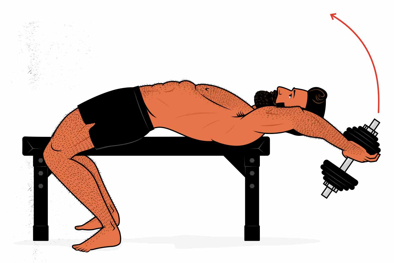 Illustration of the dumbbell pullover, a great alternative for the chin-up.