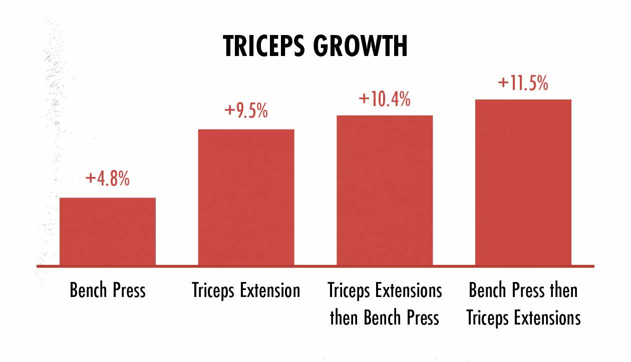 gráfico mostrando o crescimento do tríceps ao fazer o supino e as extensões do tríceps.