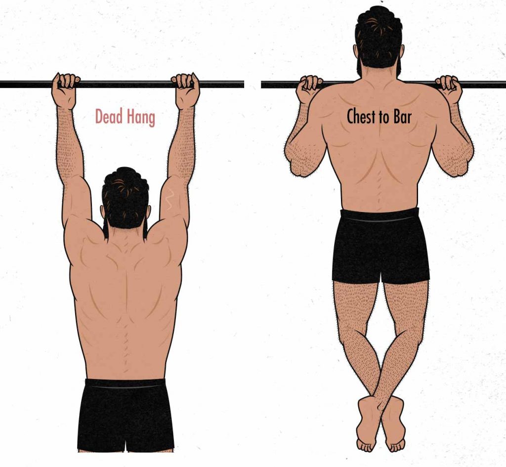 The Chin-Up Guide (for Size) – Outlift