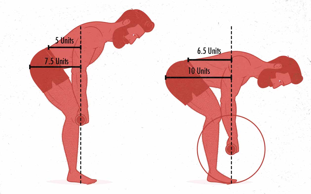 Diagram of the hip and spinal erector demands in the barbell row.