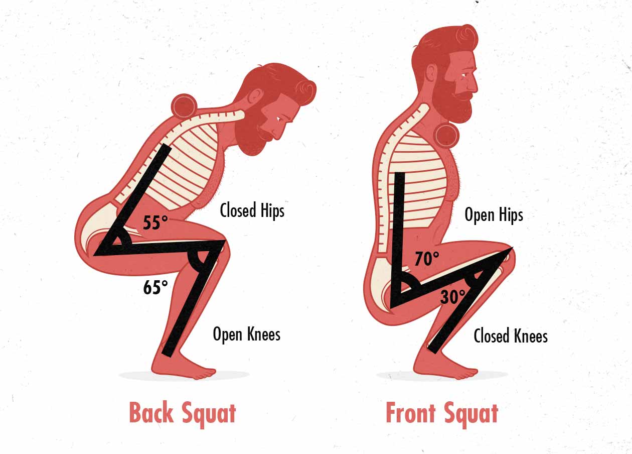 Diagram showing the differences between the low-bar back squat and the barbell front squat.