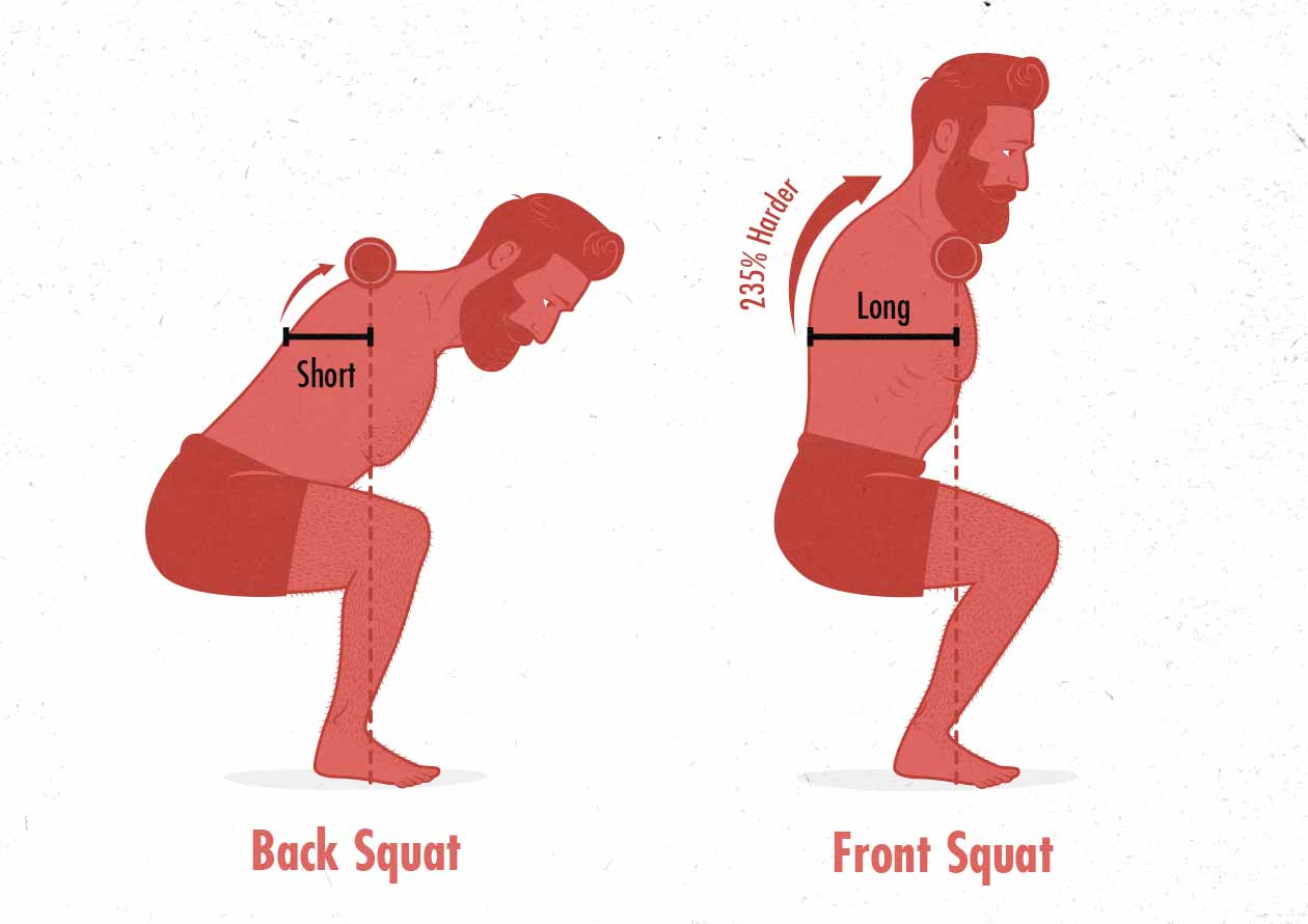 Diagram showing that front squats work the spinal erectors in our upper backs more than low-bar barbell back squats.