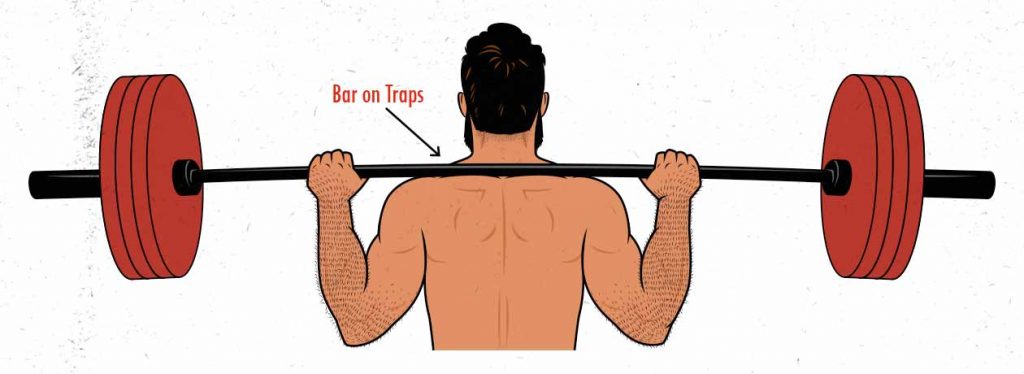 The Barbell Front Squat Guide (for Building Muscle)