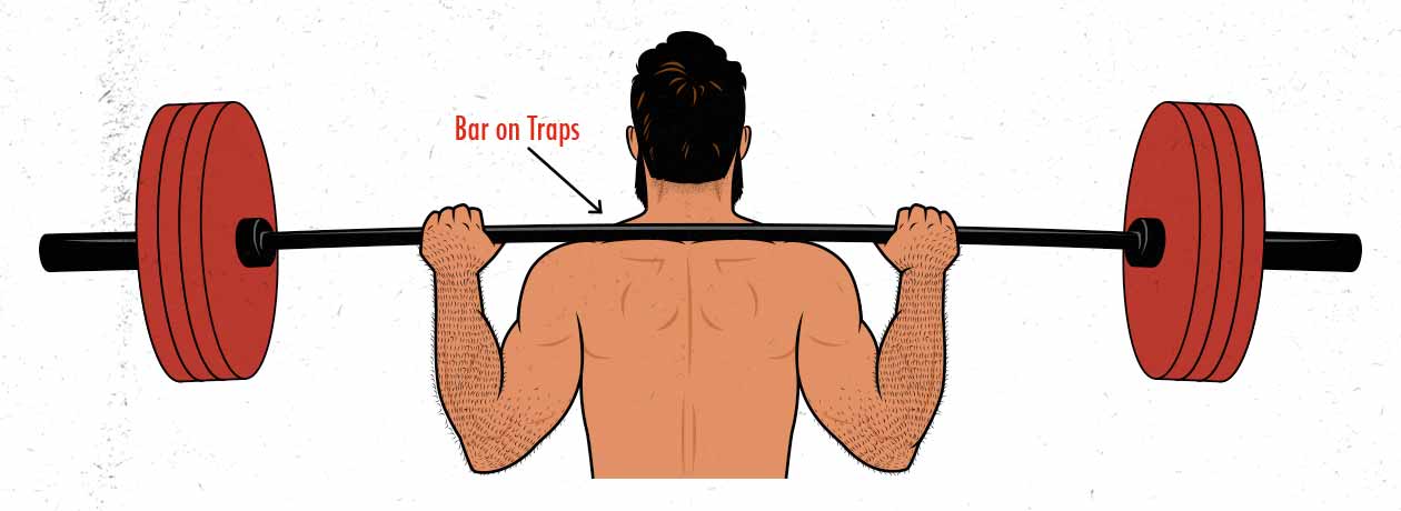 The barbell position in the high-bar back squat diagram / illustration.