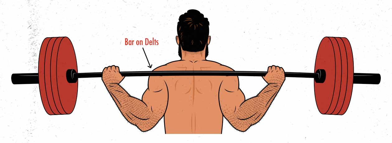 The barbell position in the low-bar back squat diagram / illustration.