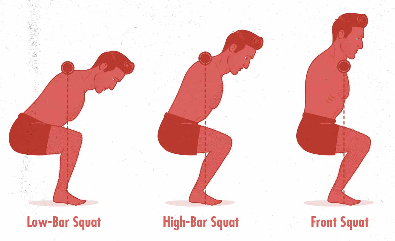 Torso angle in the low-bar back squat, high-bar back squat, and barbell front squat (diagram / illustration)