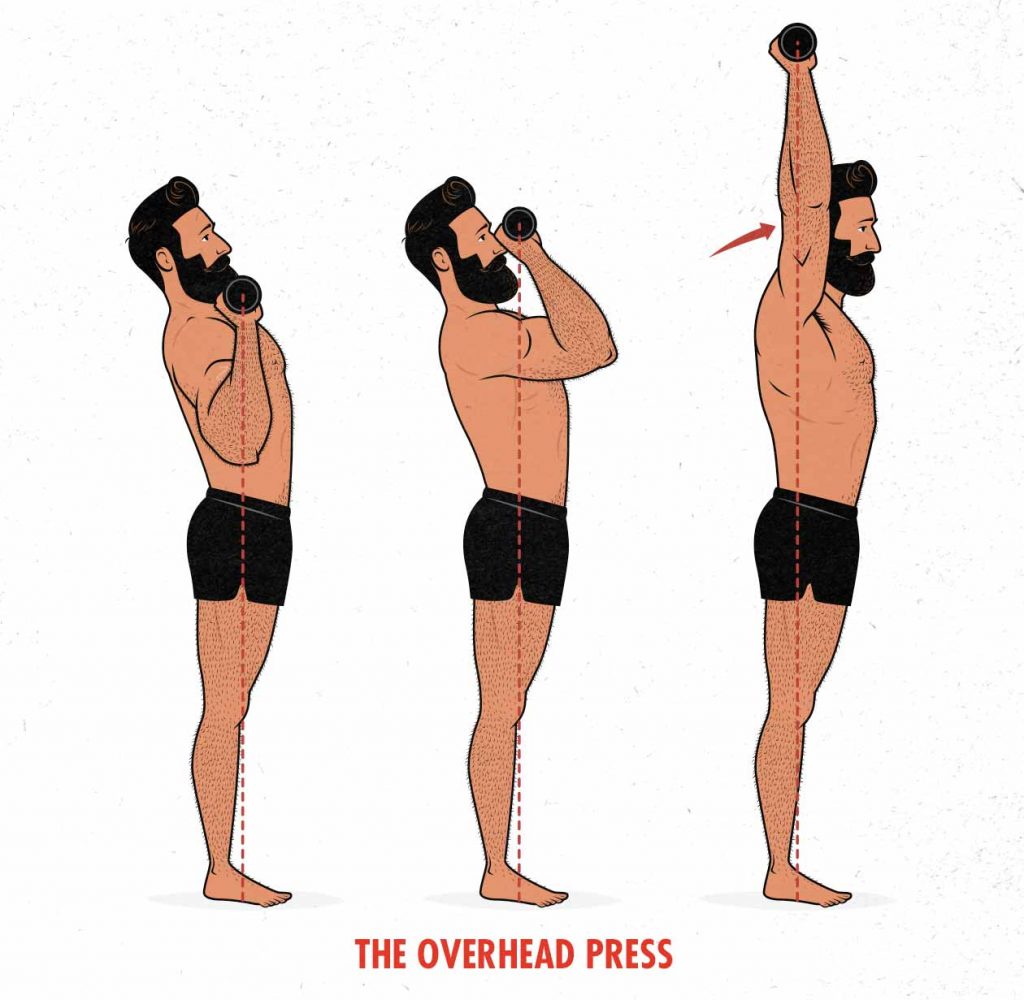 Man Doing Overhead Triceps Stretch Exercise. Flat Vector