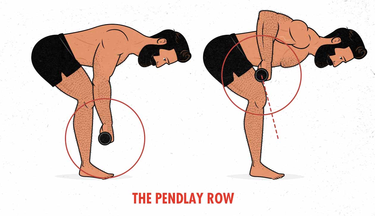 Illustration af en mand, der laver Pendlay barbell rækken.