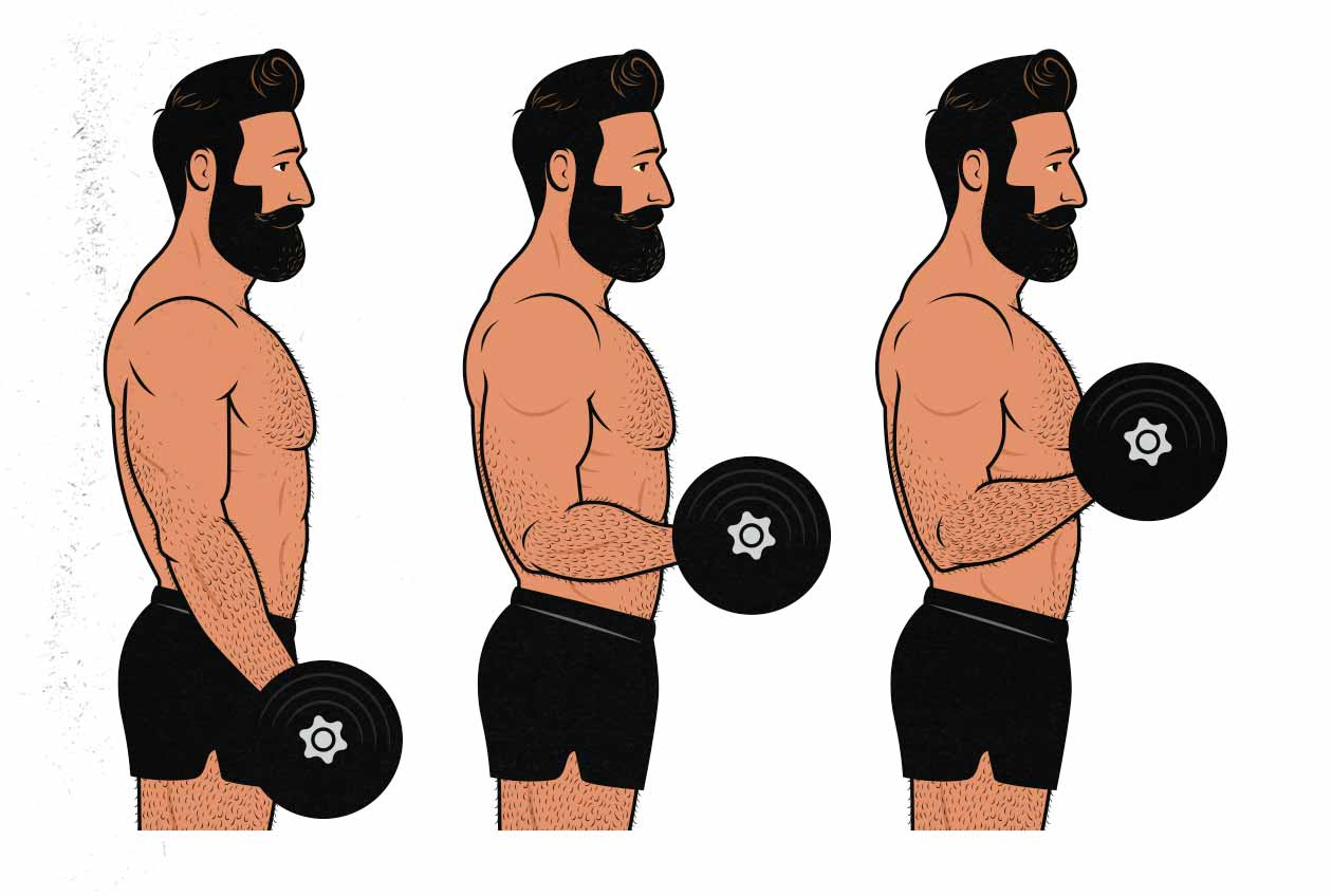 Ilustración de un hombre haciendo curls de bíceps con mancuernas.