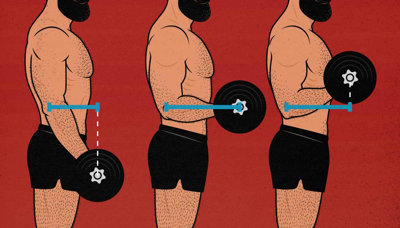 Diagram of moment arms in the barbell curl lifting weights.