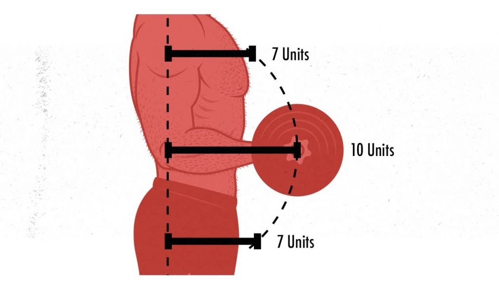 Illustration of the moment arms in a biceps curl