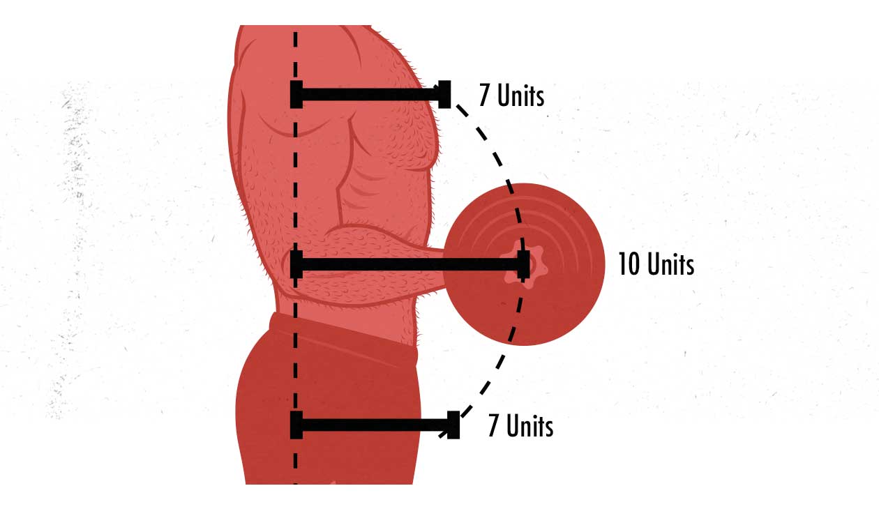 Illustration of the strength curve of the barbell/dumbbell biceps curl.