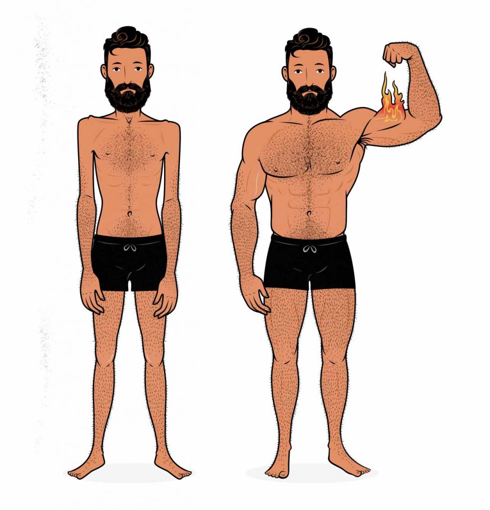 Before/after illustration of a skinny man becoming muscular.