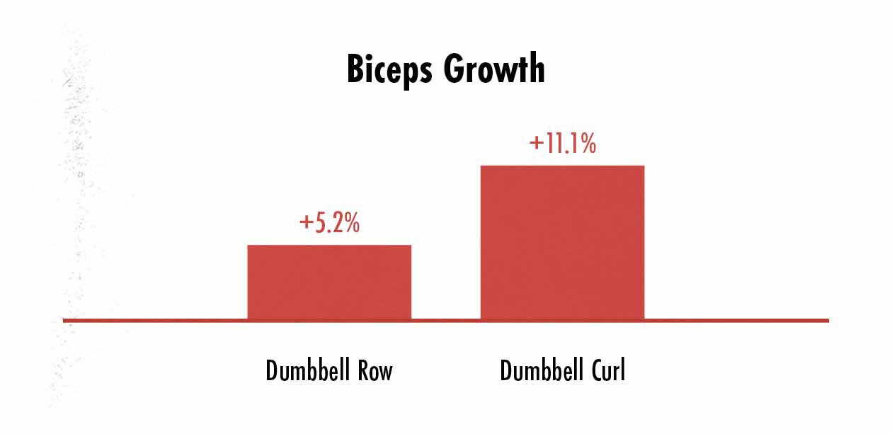 Grafisk der viser forskellene i bicepsvækst fra dumbbell curl og dumbbell row.