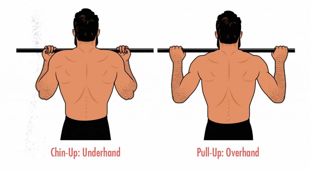 Illustration of the difference between underhand chin-ups and overhand pull-ups.