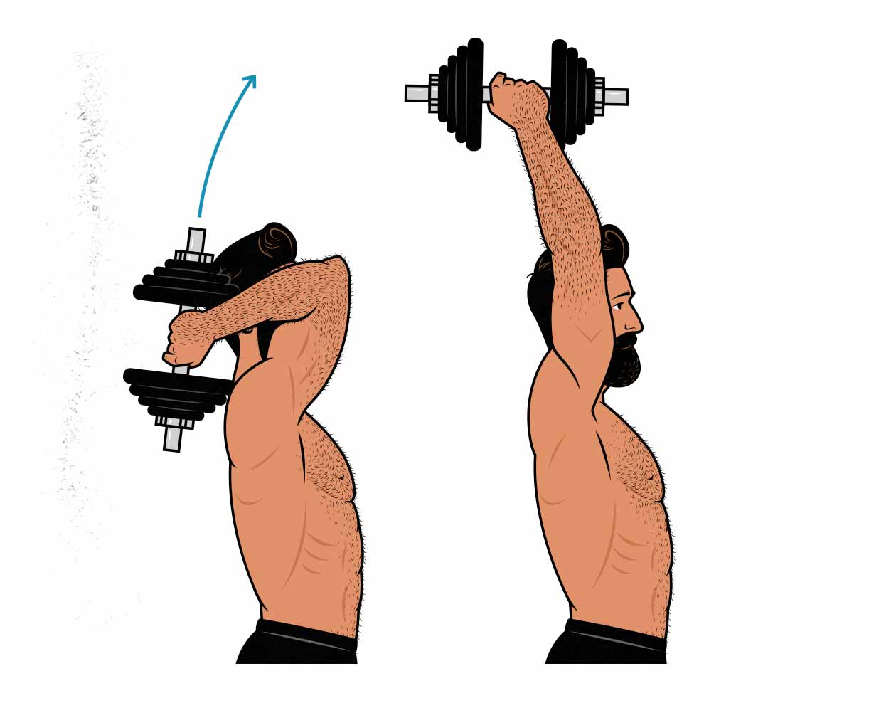 Ilustración del hombre haciendo la extensión de tríceps con mancuernas superiores.