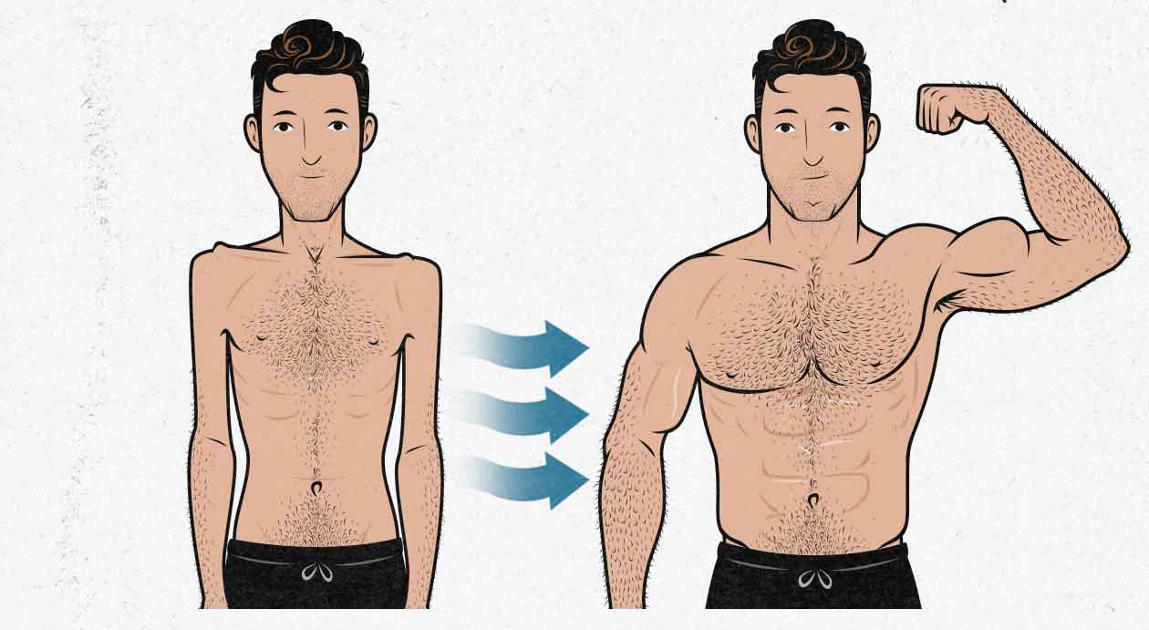 Ilustración del cambio de un hombre con el crecimiento muscular