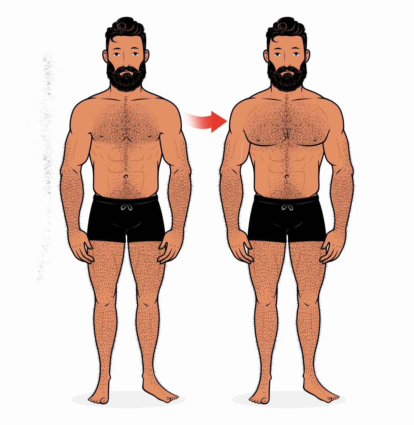 Ilustración de la transformación de un hombre al aumentar el tamaño de su pecho.