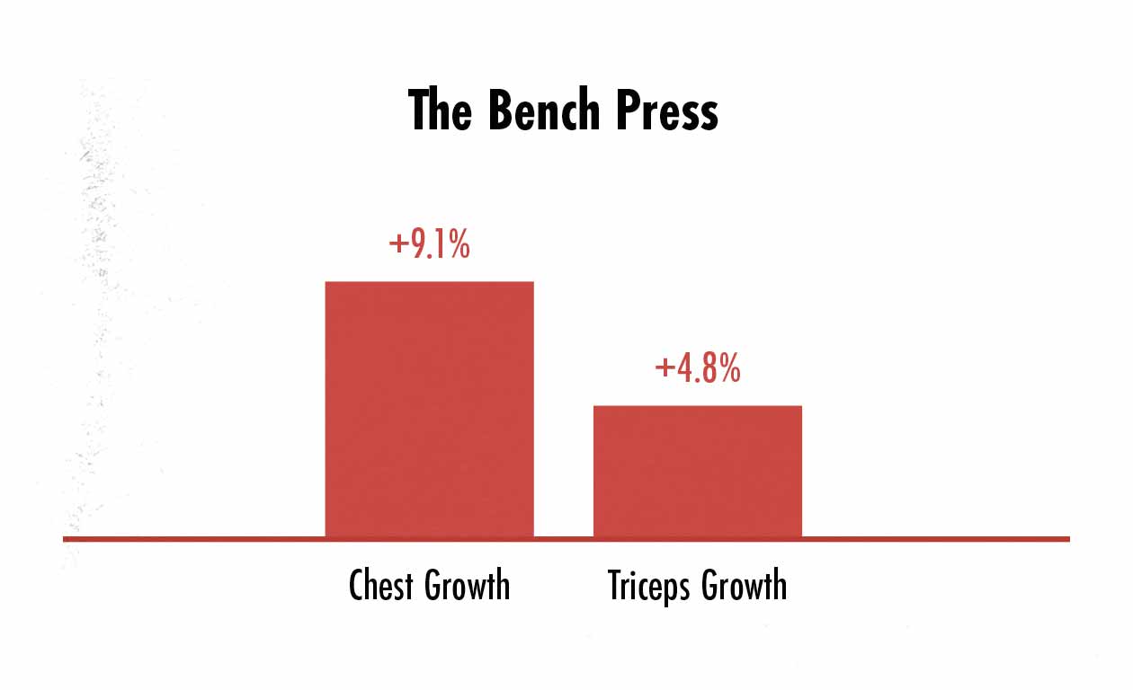  gráfico mostrando diferenças no crescimento de pec e tríceps ao fazer o supino.