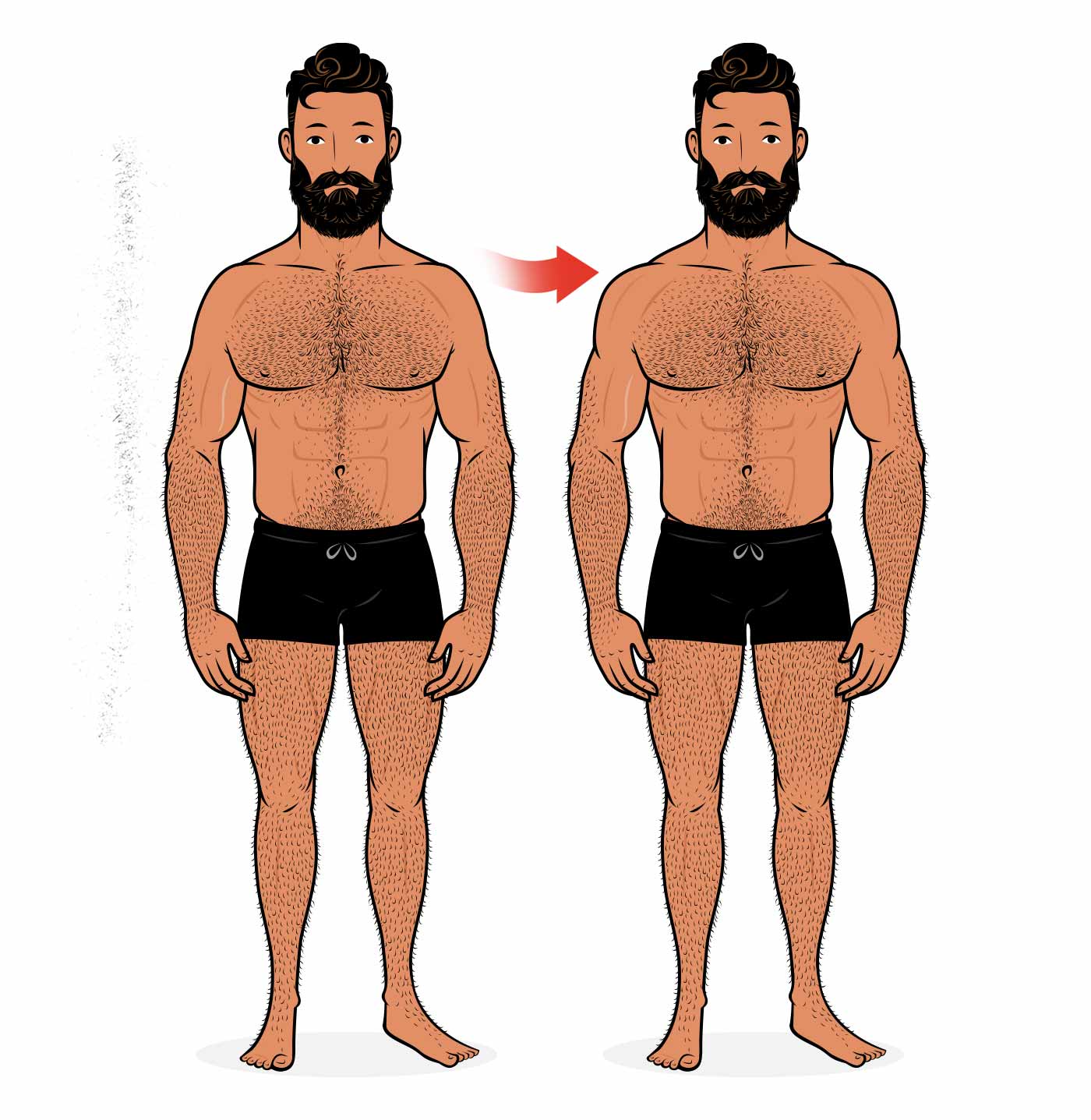 Ilustración del antes y después de un hombre al desarrollar hombros más anchos.