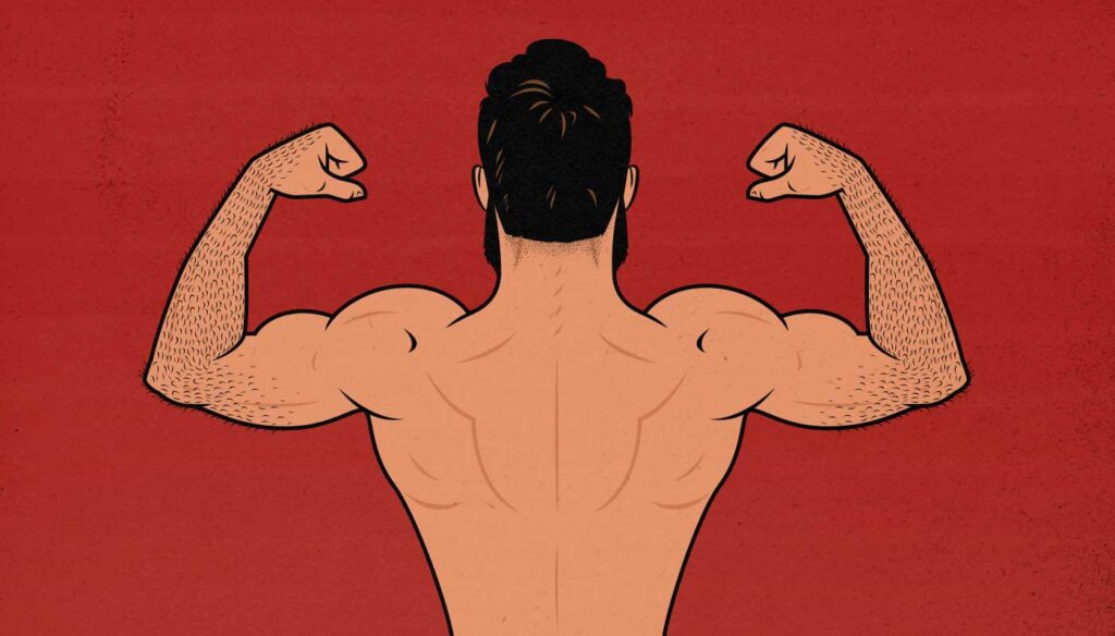 Illustration of a man flexing his back and biceps.