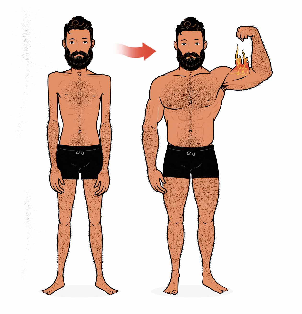 Ilustración de la transformación de un hombre al ganar músculo 
