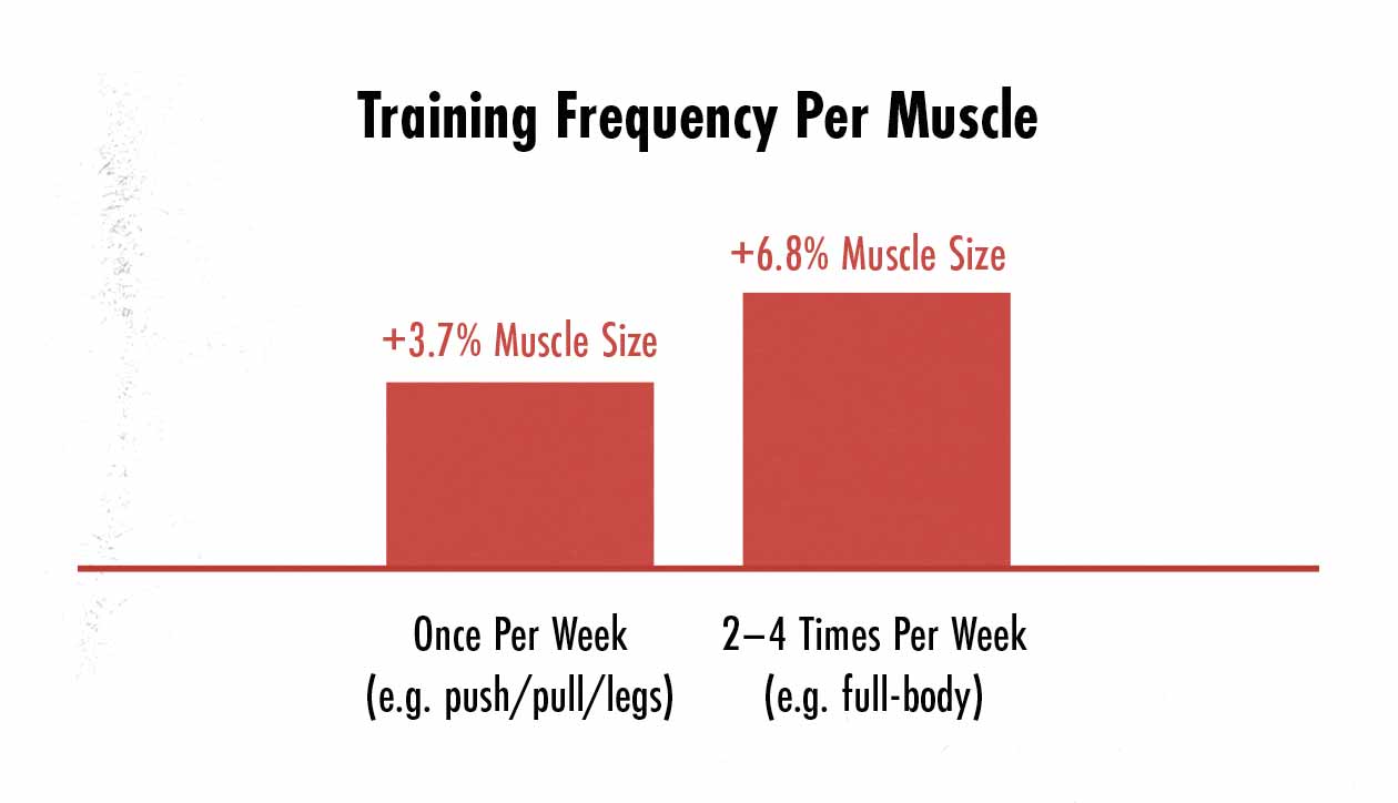 Graph showing that training a muscle 2–3 times per week stimulates more muscle growth than training a muscle once per week.