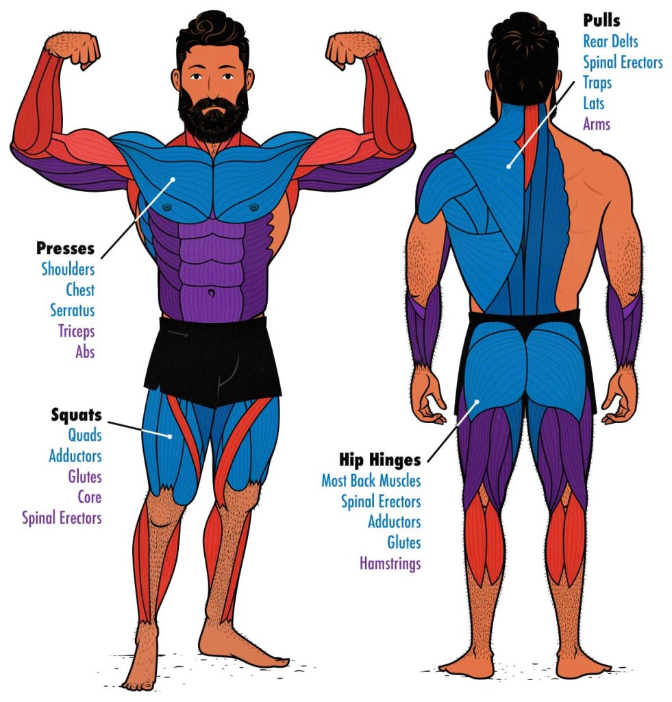 Diagram showing the best compound hypertrophy training exercises for building muscle.