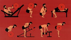 Illustration of the best muscle-building exercises to use in a hypertrophy training program.