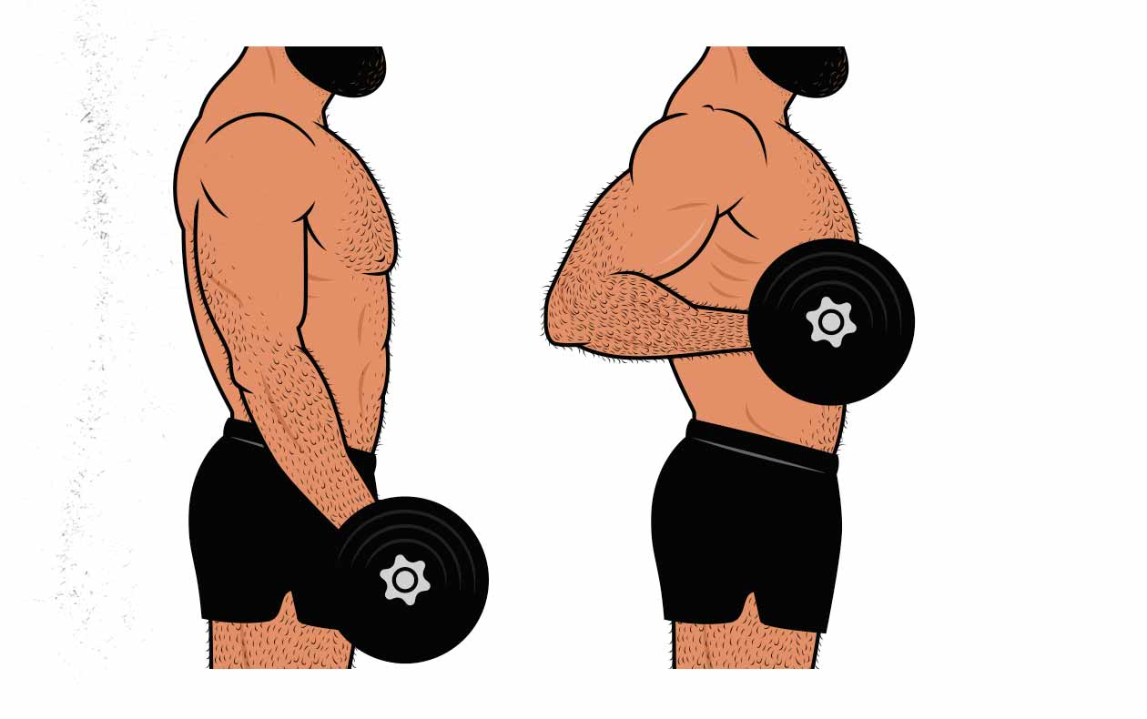 bicep stretch clipart