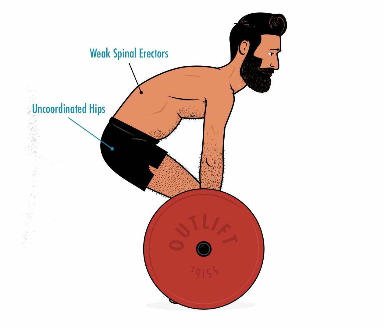 Illustration of a beginner doing a conventional deadlift with a rounded back.