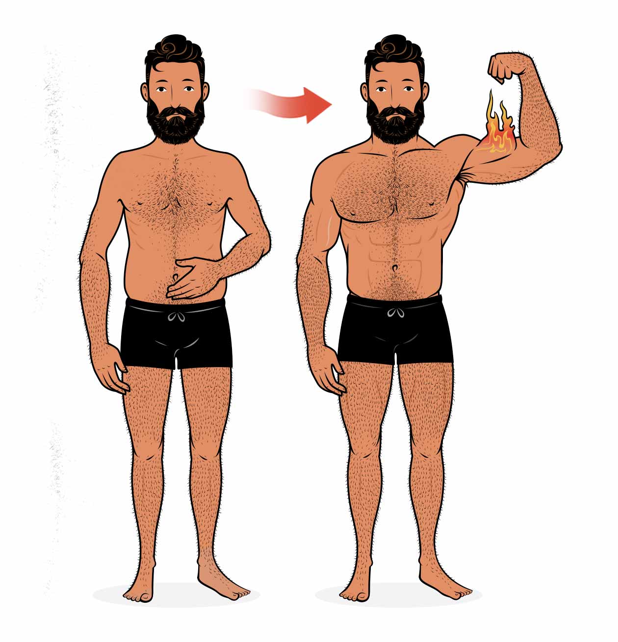 Illustration showing a skinny-fat man gaining muscle and losing belly fat.