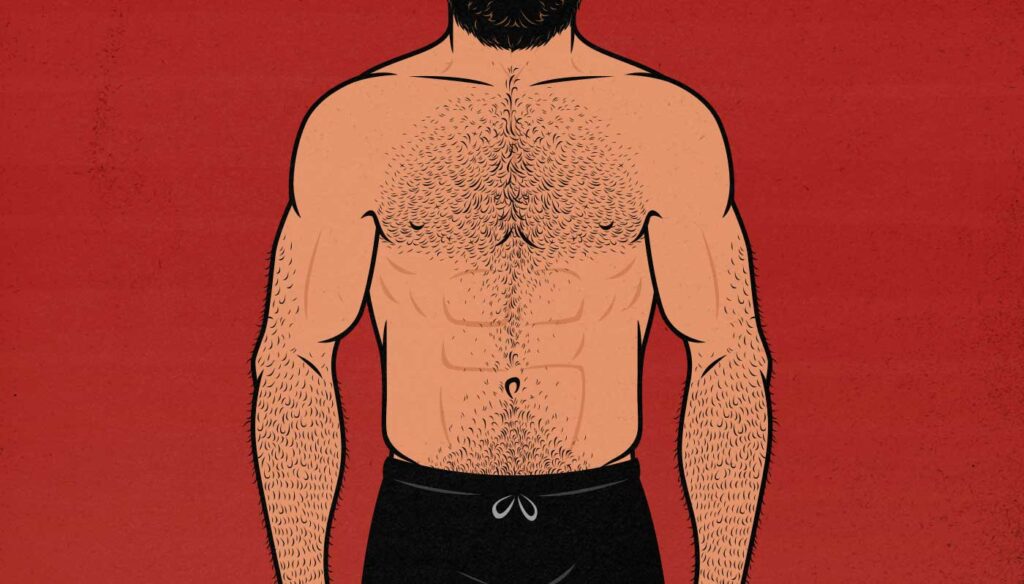 Illustration showing a man with a stubborn, lagging chest.