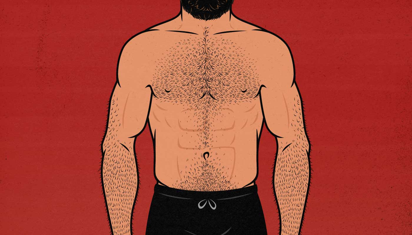Illustration showing a man with a stubborn, lagging chest.