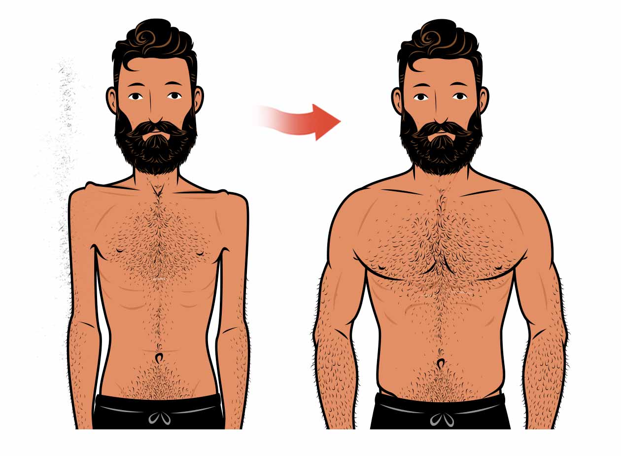 Illustration of a skinny man bulking up, building muscle, and gaining weight.