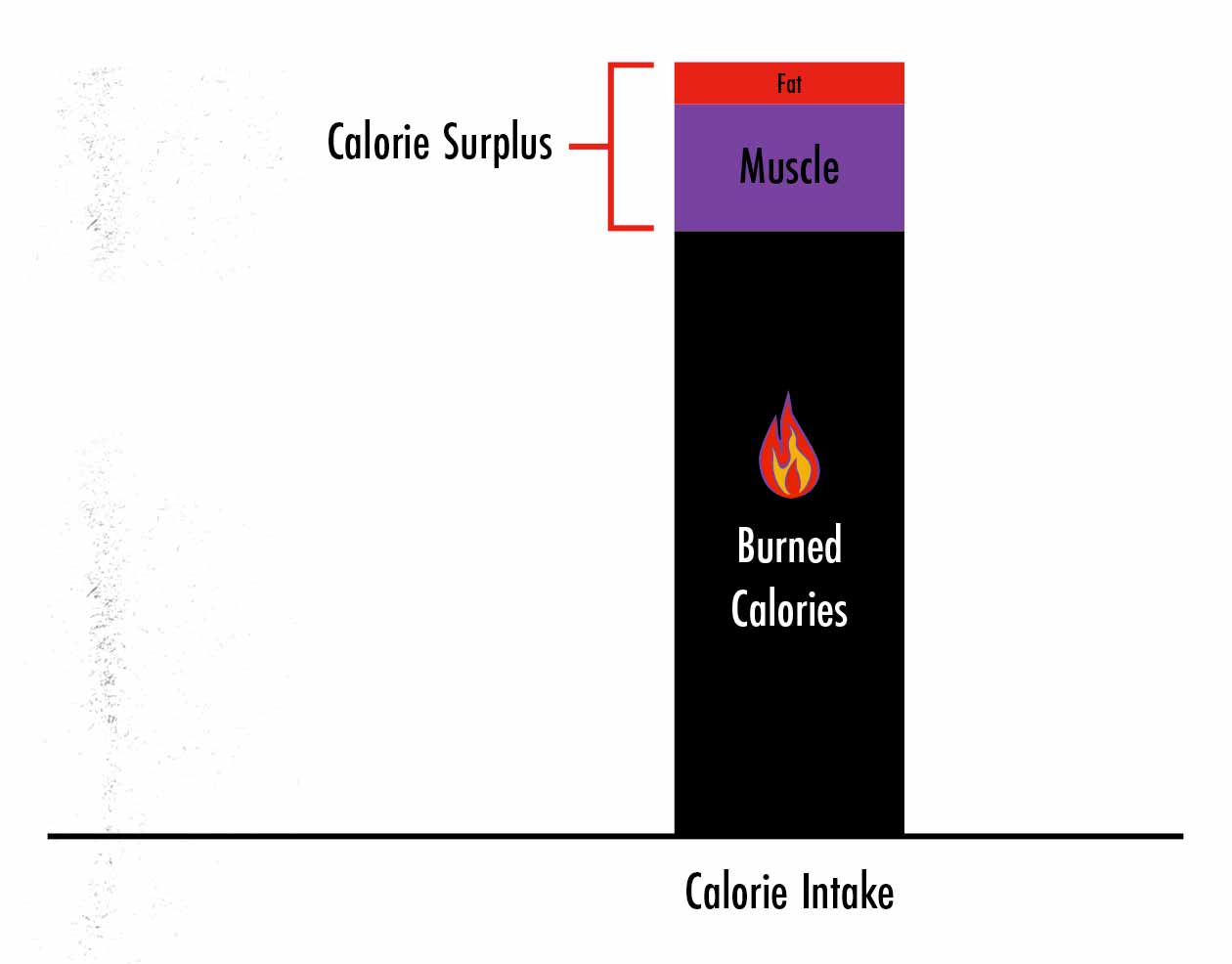 Graph showing that if we can gain muscle faster, we'll have fewer surplus calories, and thus we'll gain less fat while bulking.